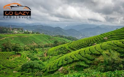 1n 2d Darjeeling Tour Packages