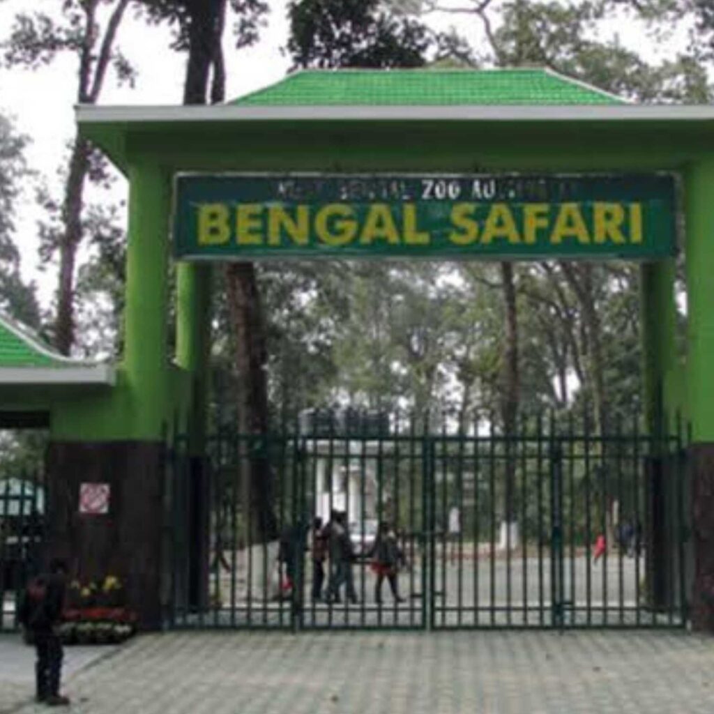 bengal safari - go eazy cab