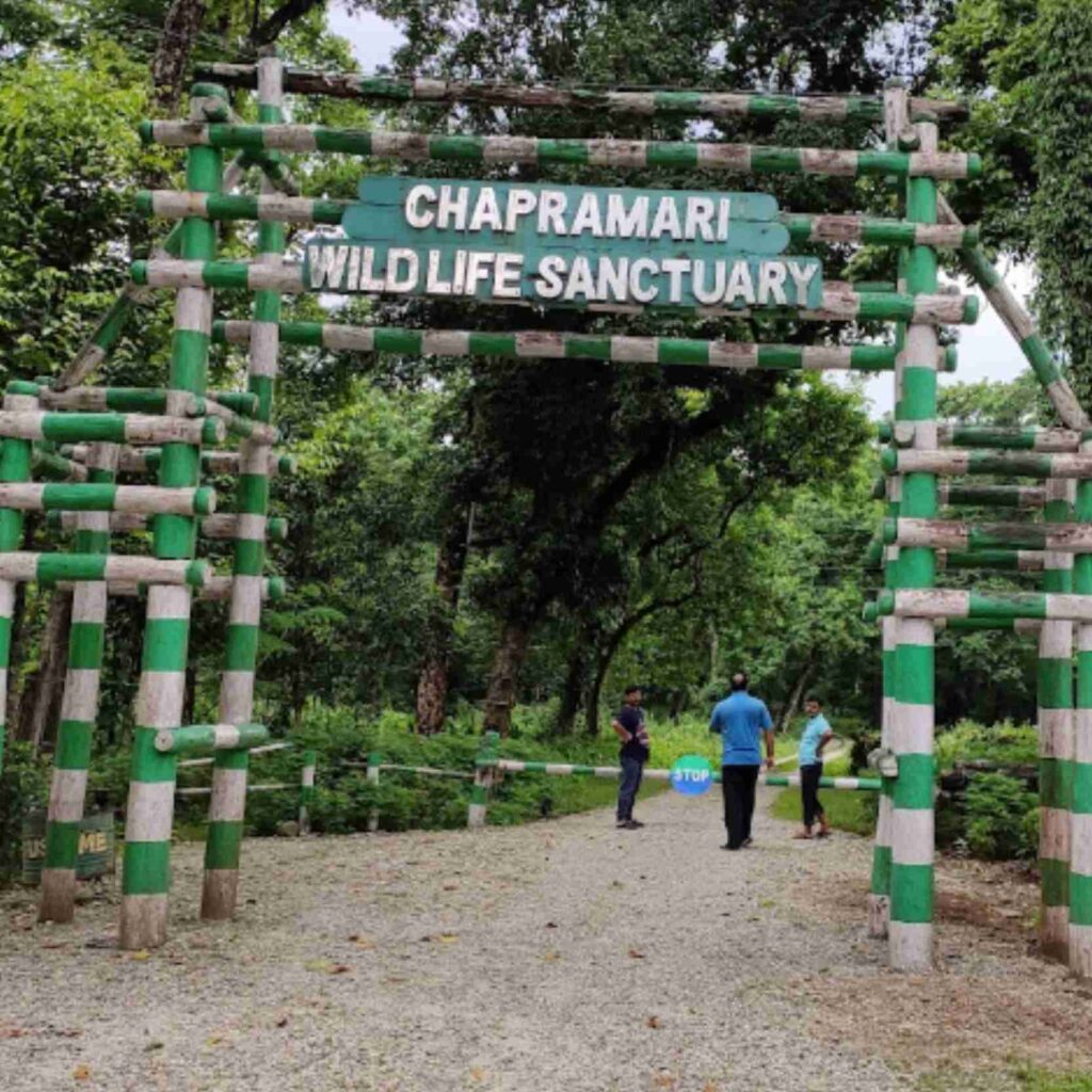 Chapramari Wildlife Sanctuary Dooars - go eazy cab